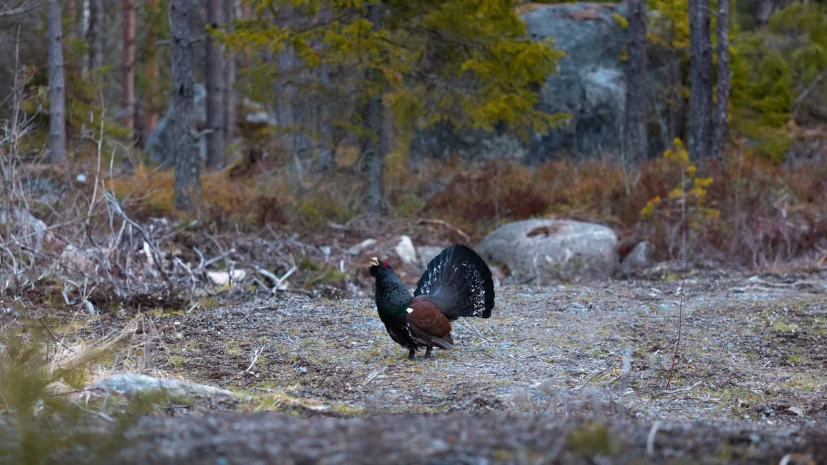 Kuidas luua tervislikke harjumusi